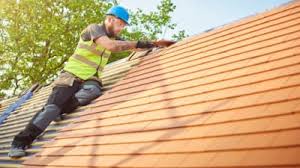 Best Roof Waterproofing  in Monee, IL